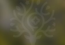 Exposition « Oeuvres abstraites de Maurizio Cella » à la Librairie La Perle Rare de Senlis