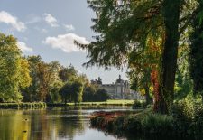 Visite guidée – Les arbres remarquables du parc du Château de Chantilly