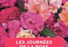Journées de la Rose au Domaine de Chaalis