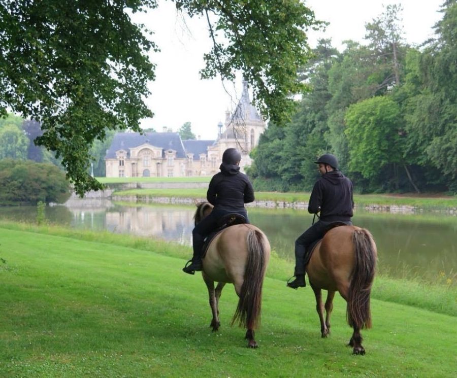 Balade en Henson à Chantilly
