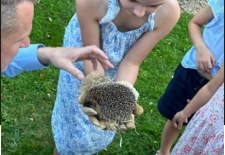 Visite-atelier « Retour à la vie sauvage » au Domaine de Chaalis