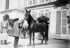 Exposition « Rosa Bonheur et le cheval » au Château de Chantilly