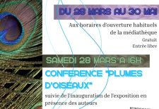 Exposition « Plumes d&rsquo;oiseaux » à la médiathèque de Vineuil-Saint-Firmin