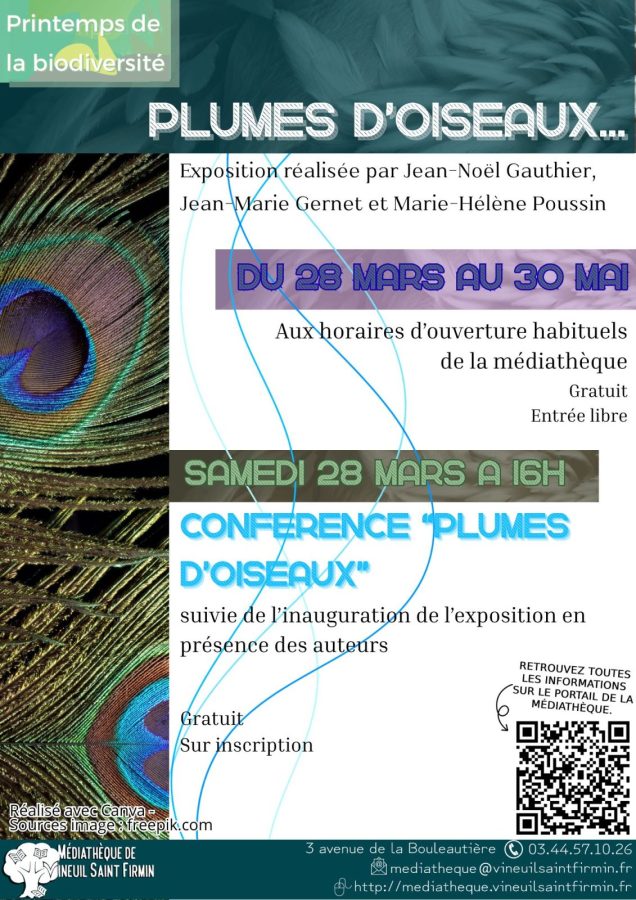 Expo Plumes d’oiseaux… – 1