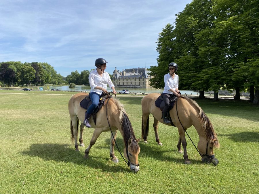 Balade en Henson à Chantilly