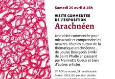 Visites commentées de l&rsquo;exposition « Arachnéen » au Musée de la Dentelle de Chantilly