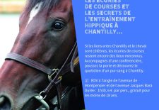Visite guidée « Les écuries de courses et les secrets de l&rsquo;entraînement hippique à Chantilly »