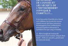 Visite guidée « Les écuries de courses et les secrets de l&rsquo;entraînement hippique à Chantilly »