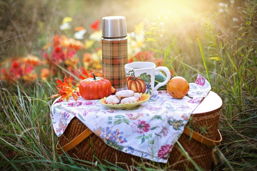 autumn-4579561_1280