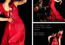 Spectacle de danse « Variación a tempo » à l&rsquo;espace Saint-Pierre de Senlis